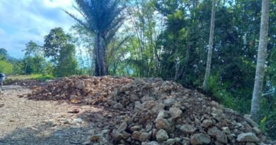 Nampak Batu berserakan dilahan milik warga