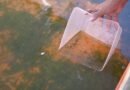 Lapas Kelas IIA Purwokerto Optimalkan Ketahanan Pangan Melalui Penebaran Bibit Ikan Gurame Lapas Kelas IIA Purwokerto Optimalkan Ketahanan Pangan Melalui Penebaran Bibit Ikan Gurame