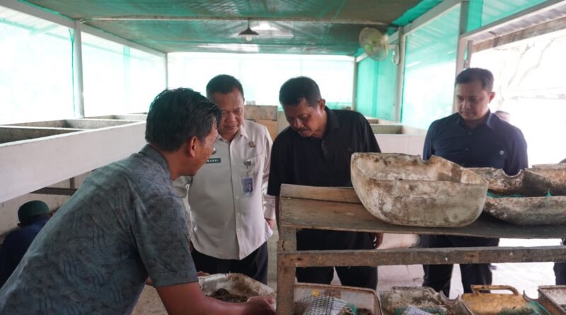 Direktur Jenderal Pemasyarakatan tinjau program ketahanan pangan dan pembinaan kemandirian di Lapas Purwokerto