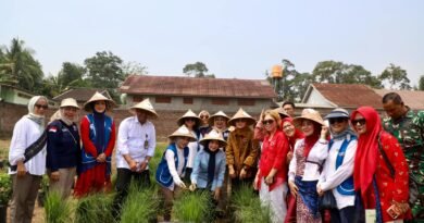 Kabupaten Serang jadi Pilot Project Kampung Holtikultura Gerakan Perempuan Pangan IWAPI Kabupaten Serang jadi Pilot Project Kampung Holtikultura Gerakan Perempuan Pangan IWAPI