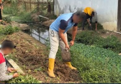Rutan Marabahan Optimalkan Kembali Lahan Pertanian Usai Panen Melalui Persiapan Tanaman Baru Rutan Marabahan Optimalkan Kembali Lahan Pertanian Usai Panen Melalui Persiapan Tanaman Baru