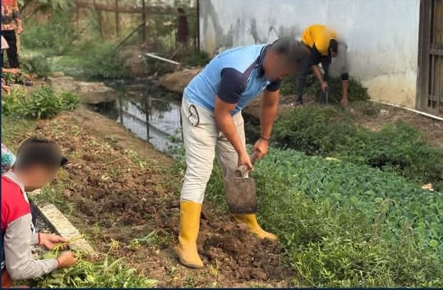 Rutan Marabahan Optimalkan Kembali Lahan Pertanian Usai Panen Melalui Persiapan Tanaman Baru Rutan Marabahan Optimalkan Kembali Lahan Pertanian Usai Panen Melalui Persiapan Tanaman Baru