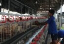 Lapas Cikarang Dorong Swasembada Pangan Mandiri Lewat Pembinaan Kemandirian Warga Binaan