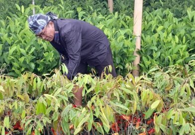 Baduy Lestari, Dari Baduy Untuk Banten, Menanam Harapan Untuk Indonesia Yang Asri Baduy Lestari, Dari Baduy Untuk Banten, Menanam Harapan Untuk Indonesia Yang Asri